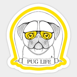 Pug Sticker